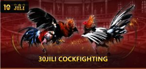 30jili cockfighting