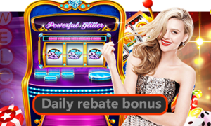 Daily rebate bonus